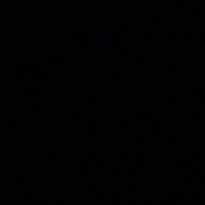 Meet your Posher, Kaylani